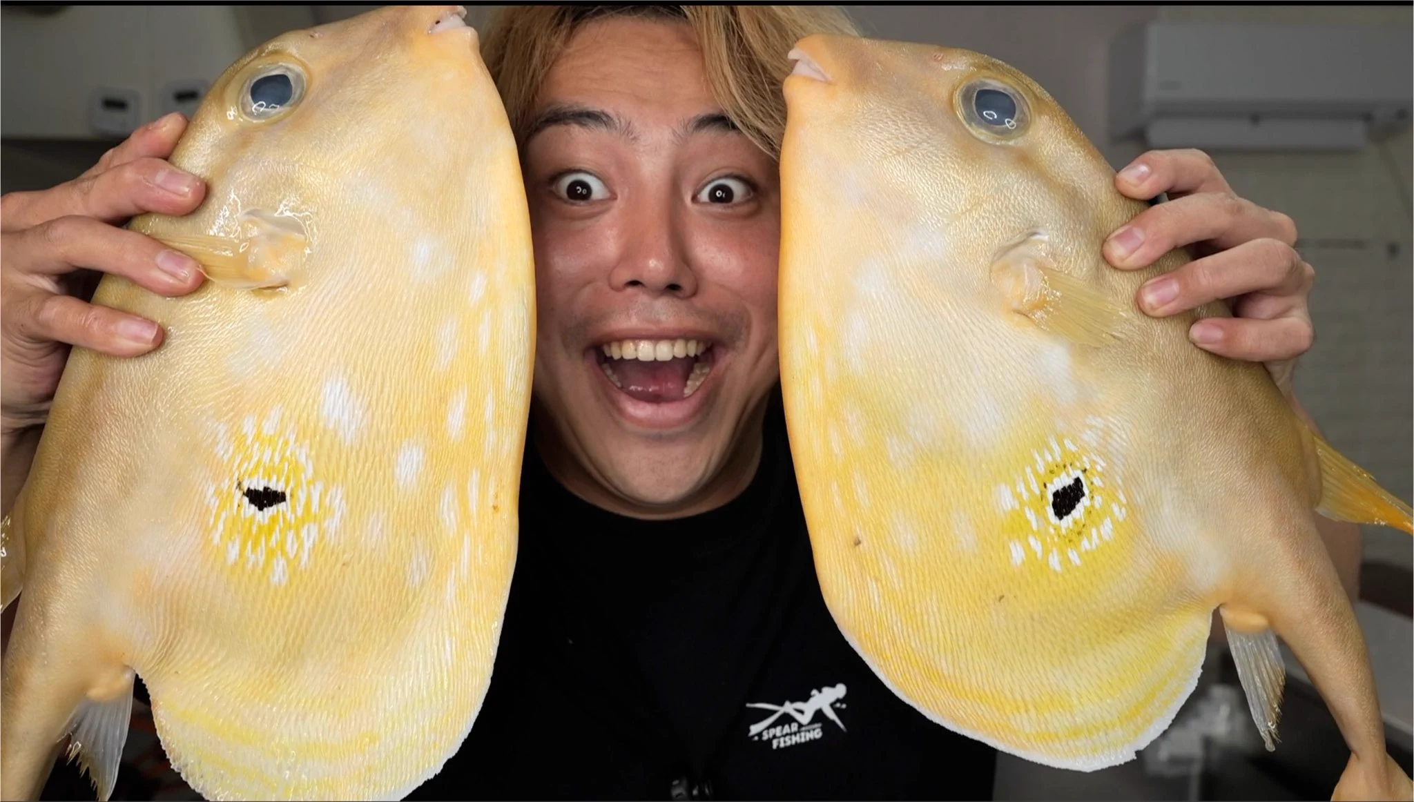 素潜り漁師マサル on X: 