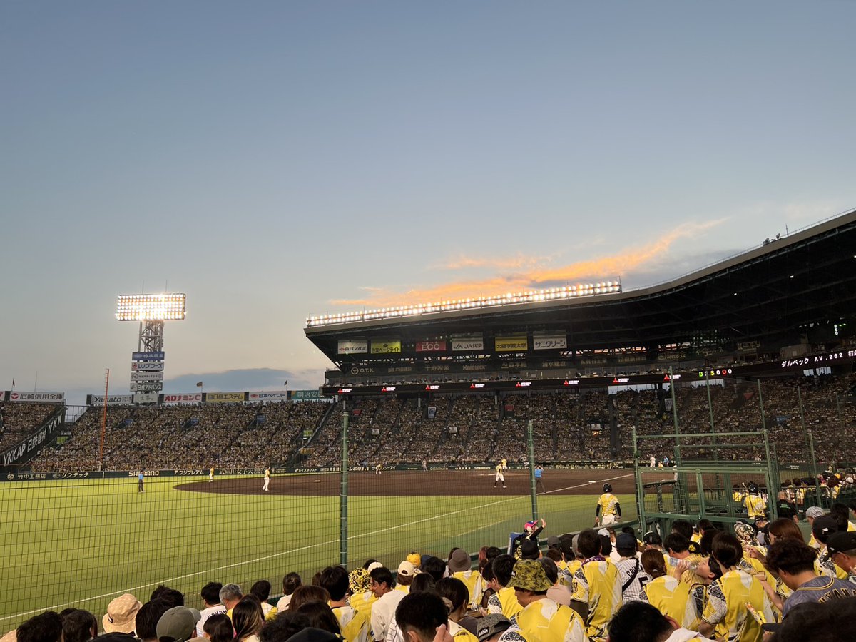 neoneo2000's tweet photo. 久しぶりの甲子園球場 https://t.co/9qUMbcYRvS