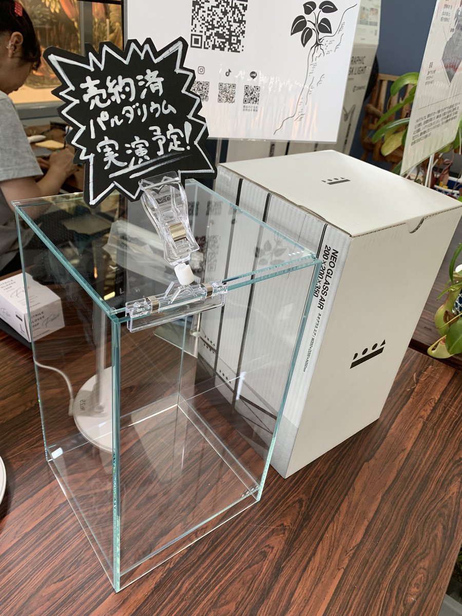 PALUDAMAN's tweet photo. 愛好会の方にオーダーメイドをいただきました
20×20×35 ネペンテスパルダリウム
実演制作予定です🫡

咲くやこの花館「虫を食べる植物展」の会場ではワークショップだではなく「作ってほしい!」という方もオーダーメイド受け付けております。 https://t.co/e8y2KHBXsT