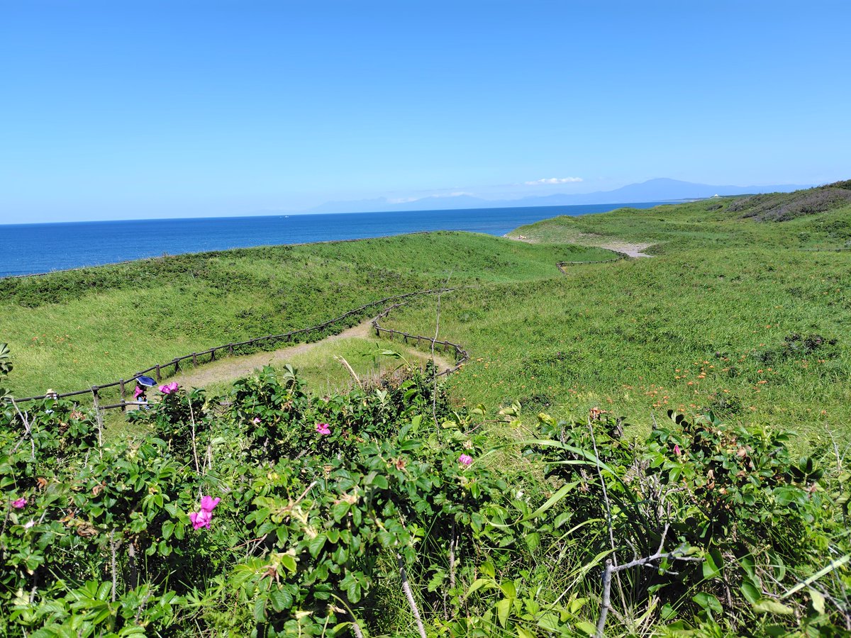 tosidan's tweet photo. 7月の旅行。
四つ星ホテルに泊まるひがし北海道旅行4泊5日。
1日目の観光は〈小清水原生花園〉。花が咲いていない。 https://t.co/dGjplxP8ht