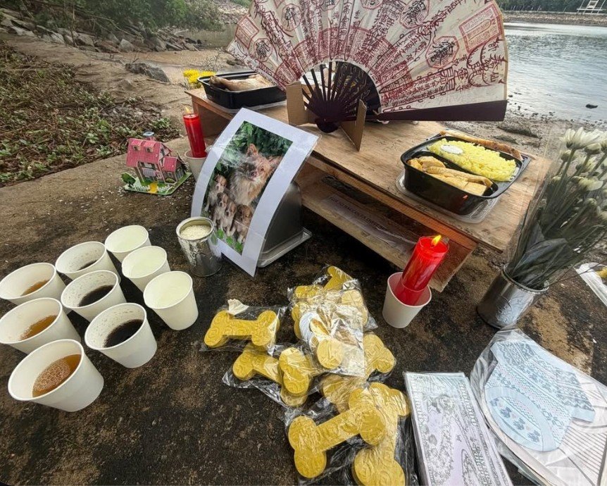 MamoruTakazawa's tweet photo. 涙が出る。この方には感謝しかない。

地球から動物虐待をなくしたい。

あの犬の親子の為にも中国に動物愛護法を。

それが一番供養になるんじゃないかな… https://t.co/EDJoCIjZ7y