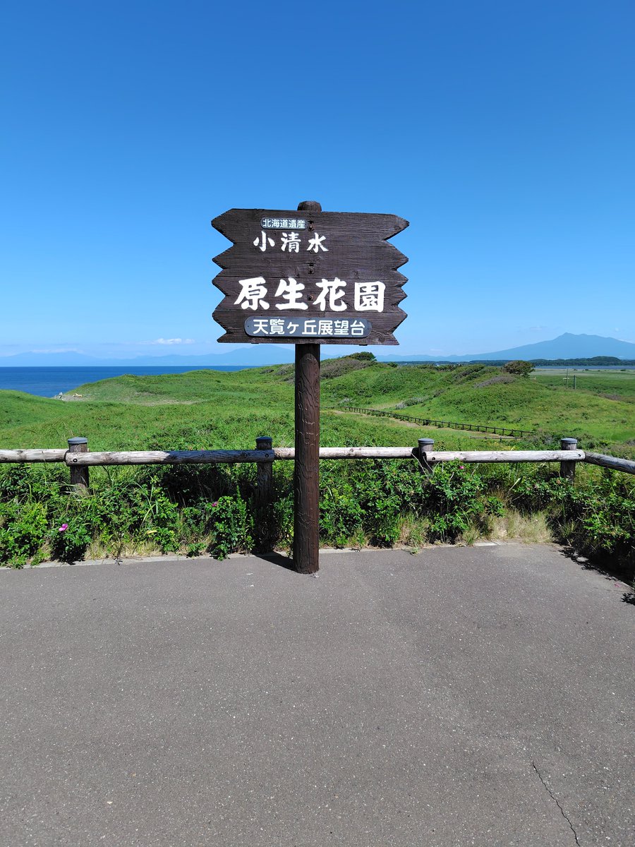 tosidan's tweet photo. 7月の旅行。
四つ星ホテルに泊まるひがし北海道旅行4泊5日。
1日目の観光は〈小清水原生花園〉。花が咲いていない。 https://t.co/dGjplxP8ht