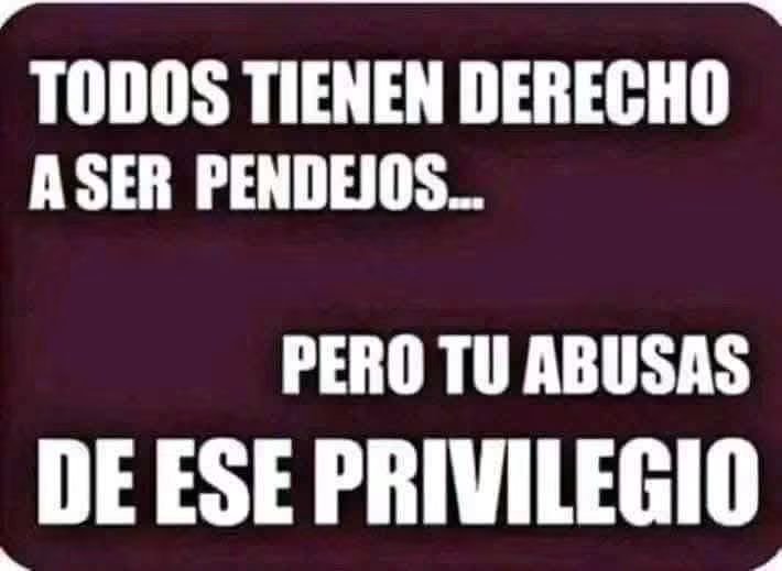 Tauro tweet media