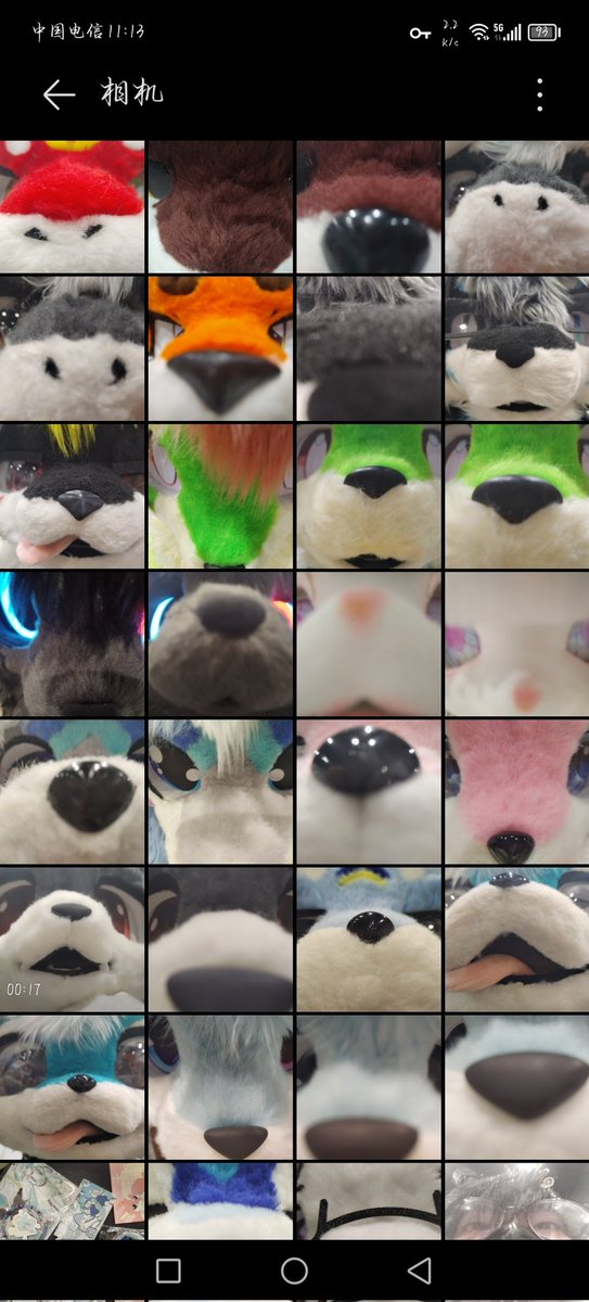 X_furryLBJ's tweet photo. 这些都是我拍的嗯对） https://t.co/IvZKQnHav5