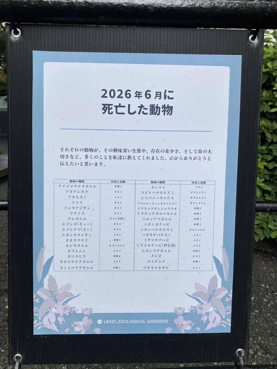 Tera1015Hi08's tweet photo. ワオさんも亡くなっていたのか😢
🙏💐
#上野動物園
2026.7.26 https://t.co/XP5vxkcXQY