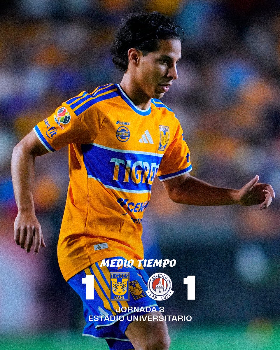Club Tigres 🐯 tweet media