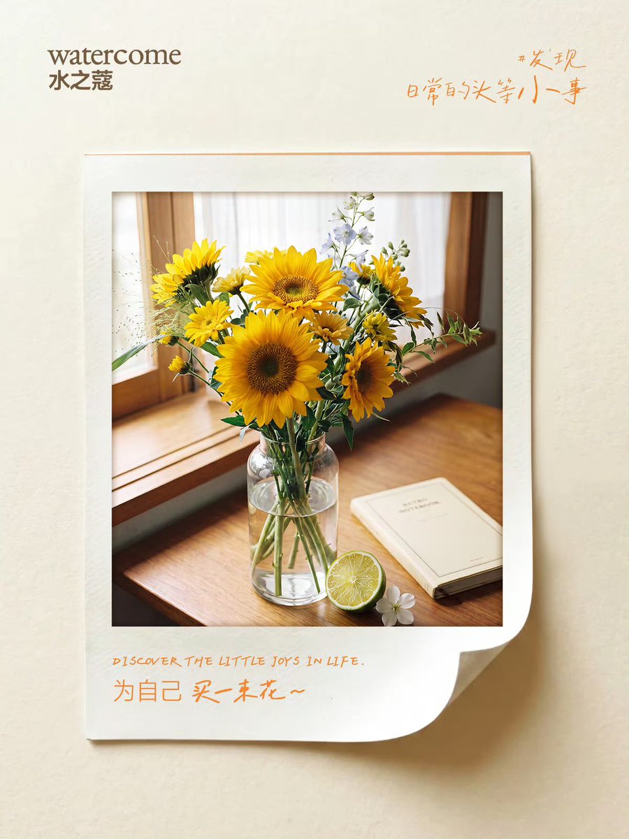 bibleswin's tweet photo. “the ones who love sunflowers, have also a sun inside their hearts!” 

Chinese Hair Care Brand WATERCOME is teasing again their new brand ambassadors with some spoilers! 👀

🔗 https://t.co/fKjmISGenE

#aylio #政瞳 https://t.co/xVGQ4kAvBA