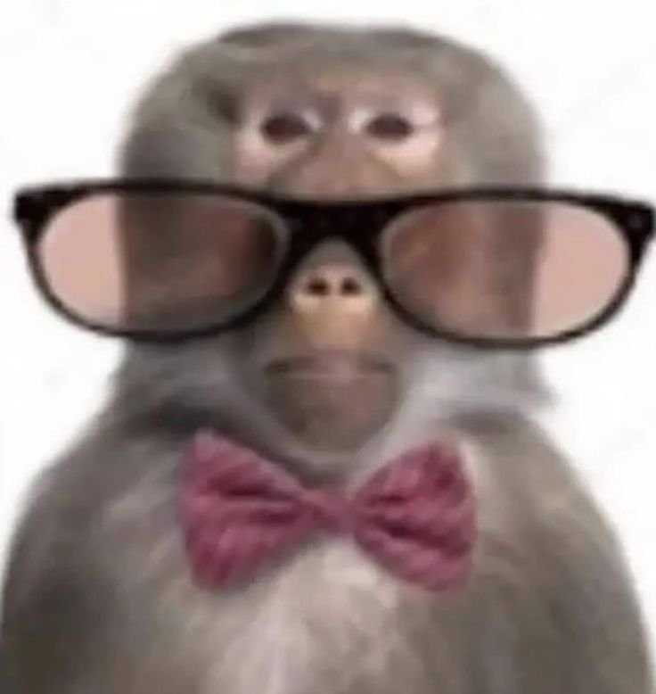 Mafer9P's tweet photo. 4 Personajes    

1 - Personaje con el que me casaría  
2- Personaje que amo  
3- Personaje al que le tengo lástima  
4- Personaje que me recuerda a mi

(Cualquier muti puede participar) https://t.co/TES1SYAnZf