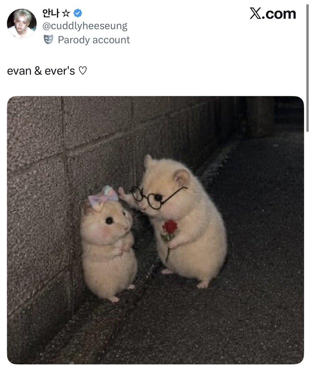 evan pilled tweet media