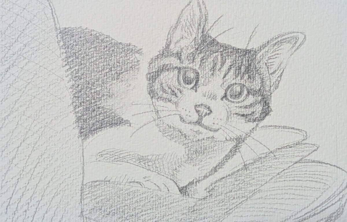 AK15337474's tweet photo. 今は亡き愛猫さんがモデルです(^^ゞ
ちょっと、イラストぽいでしょうか…。

顔彩　（上羽絵惣さん）
たいしゃ、しゅ、えんじ、おうど、
ぐんじょう、ろくしょう

水性顔料インク黒　（あかしやさん）
水性顔料インク白　（ユニボールさん）
にて、着彩しています。 https://t.co/qXz0UKARLw
