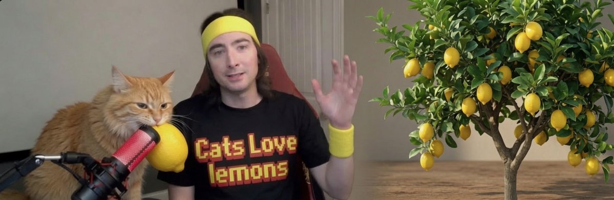 Cat Wif Lemon tweet media
