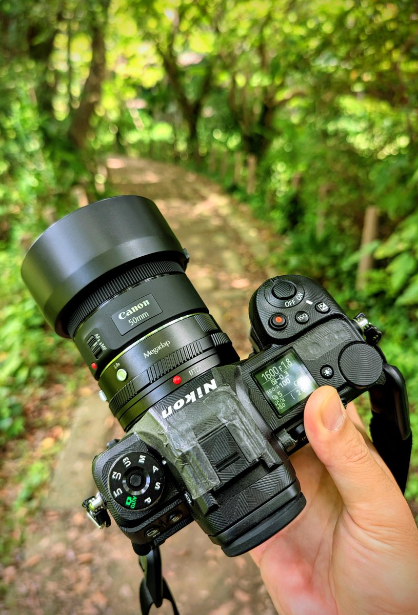 foxfoto (@Fox_now) / Posts / X