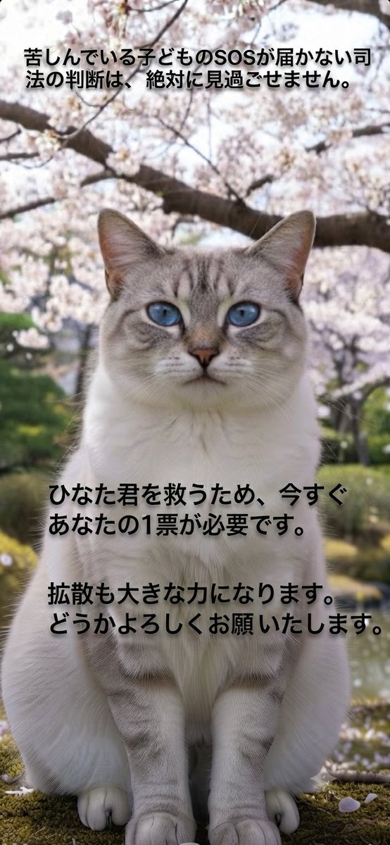 manekineko3929's tweet photo. 苦しんでいる子どものSOSが届かない司法の判断は、絶対に見過ごせません。
ひなた君を救うため、今すぐあなたの1票が必要です。
拡散も大きな力になります。
どうかよろしくお願いいたします🙏✨

https://t.co/UYPB31eFGy 

#ひなた君を守りたい 

@saveHINATA https://t.co/HfKbEN5eY4