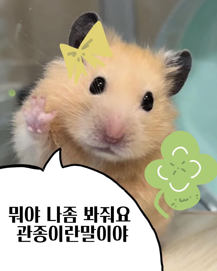 은방울꽃🌧️ tweet media