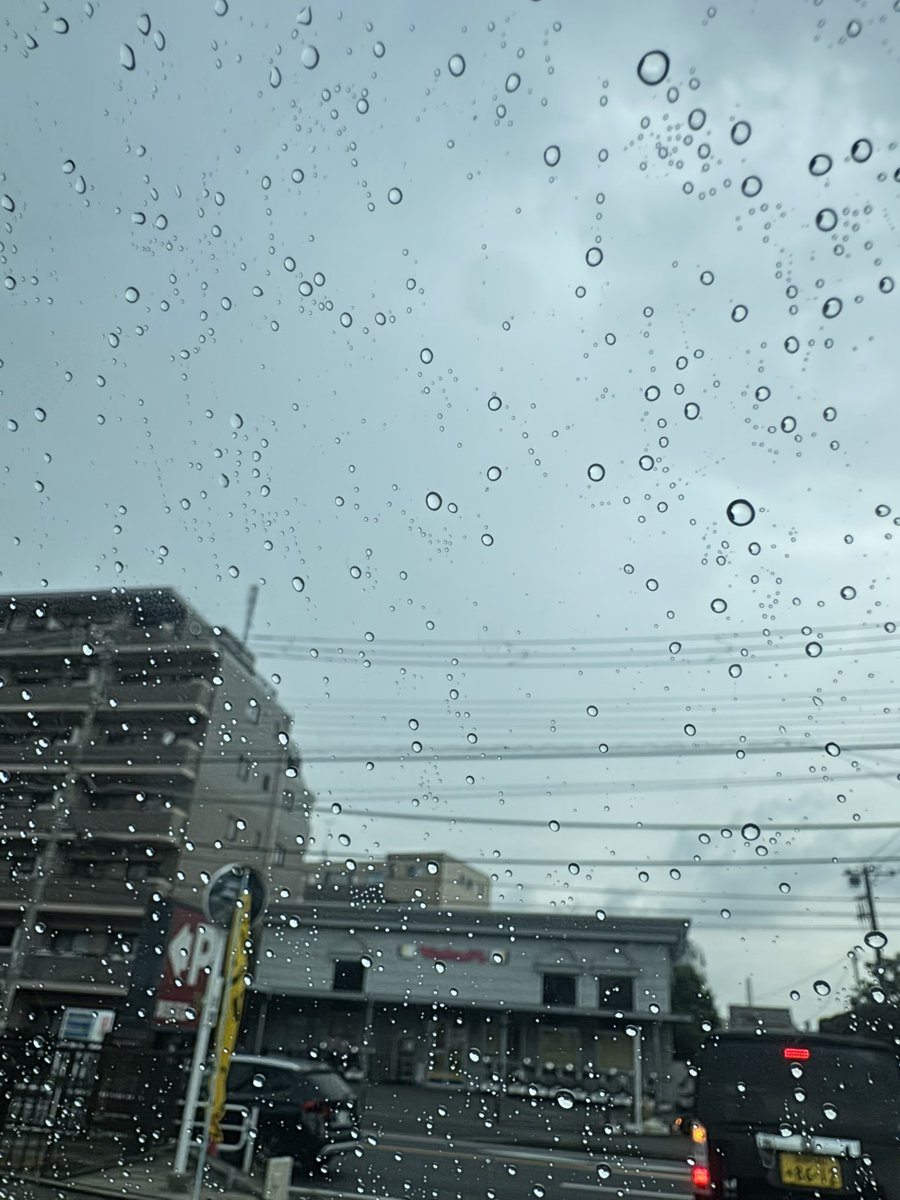 ayaka_koukintv's tweet photo. まーたゴリラ https://t.co/gGzAcfSN7D