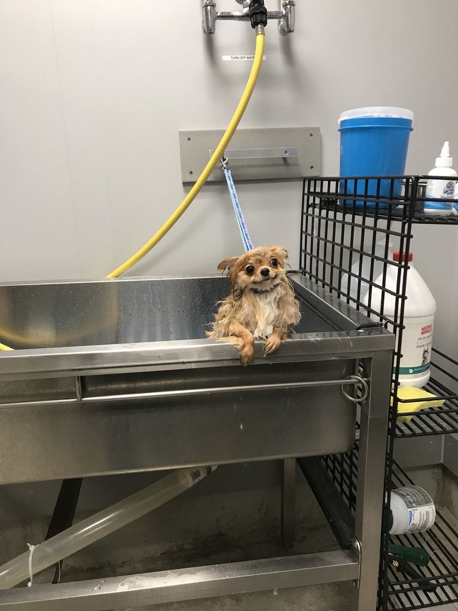 twaniimals's tweet photo. https://t.co/0D46TtLEib