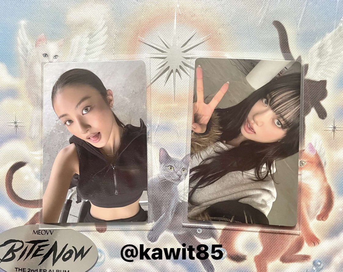 Kawit85's tweet photo. พร้อมส่ง
 การ์ดบั้ม sooin gawon ✨
       ใบละ 100 
ค่าส่ง 35 บาท 📬
สนใจ dm ได้เลยค่ะ 
 #ตลาดนัดmeovv https://t.co/yl9Z6i7M5e