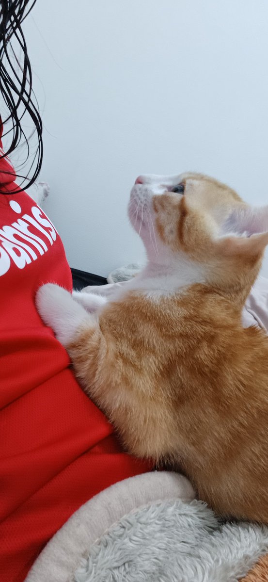 TAEG0THIC3's tweet photo. O Apolo é muito meu neto preferido ✨️ https://t.co/aucA7qdKC7