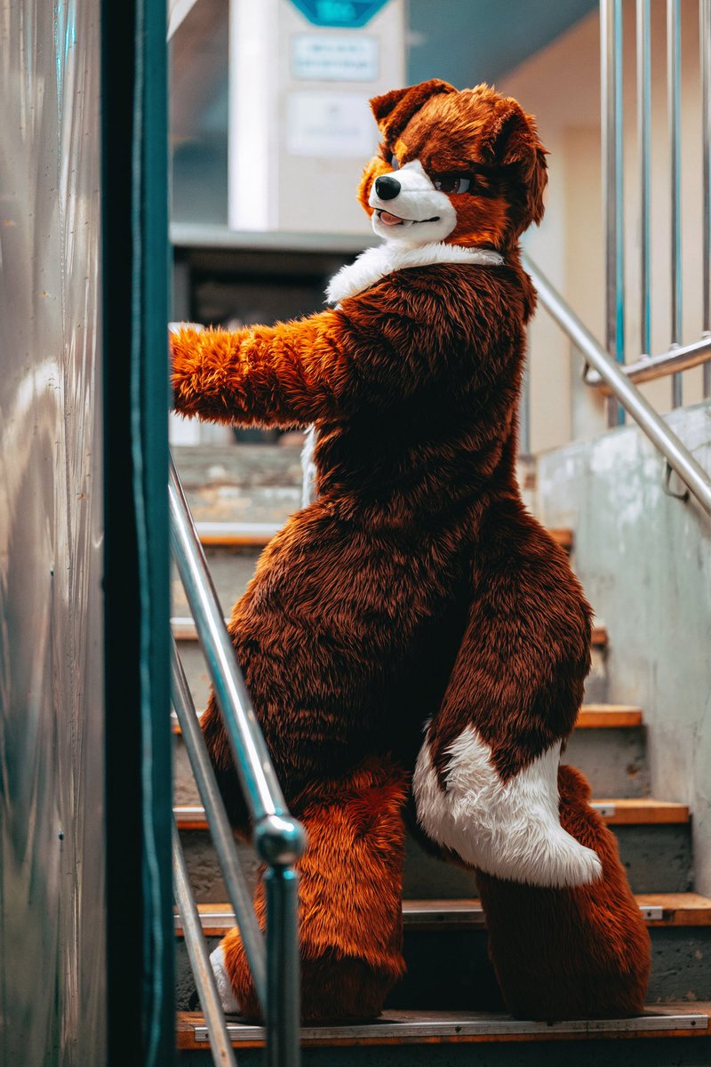 lowdelight's tweet photo. 안따라올거야? 😉

#FursuitEveryday
📸@Seasalt_VC https://t.co/r9aC4CxX2i