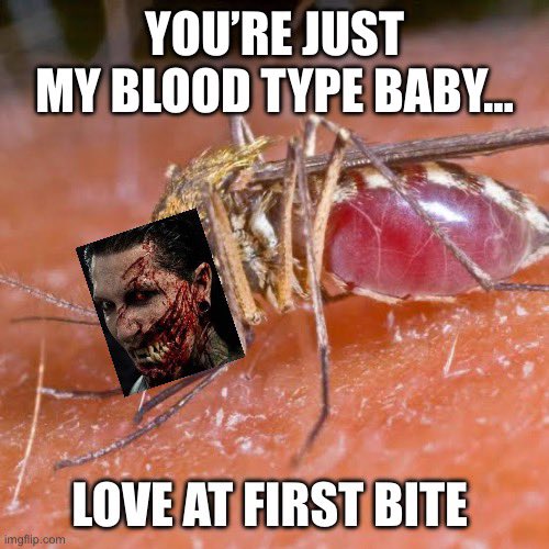 emberfaeries's tweet photo. My sense of humor is broken… https://t.co/hAHtSw3tQv