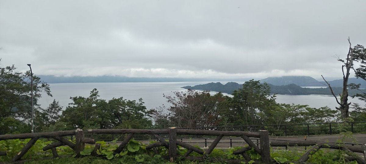 棒々鶏 tweet media