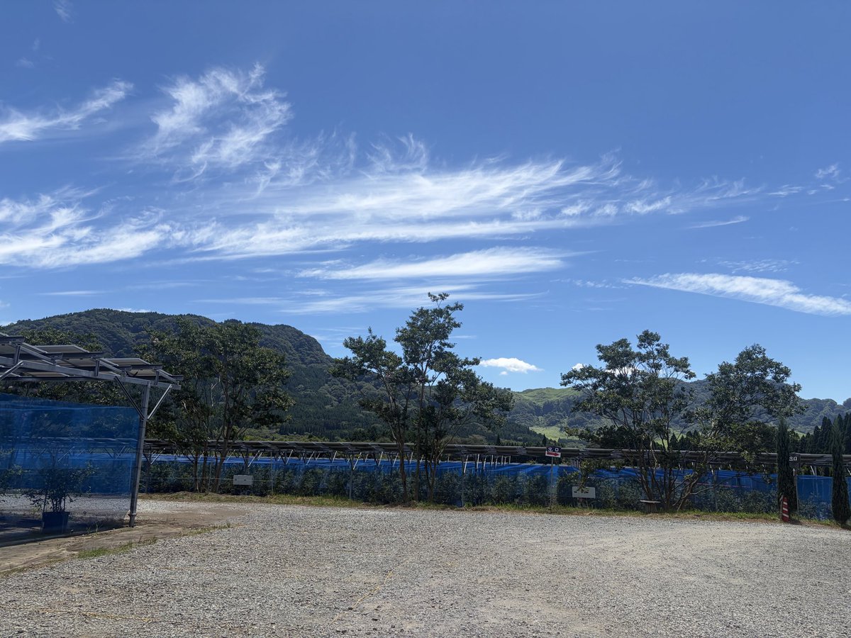 Reality0622's tweet photo. 天気が良すぎる https://t.co/kazti6AkVb