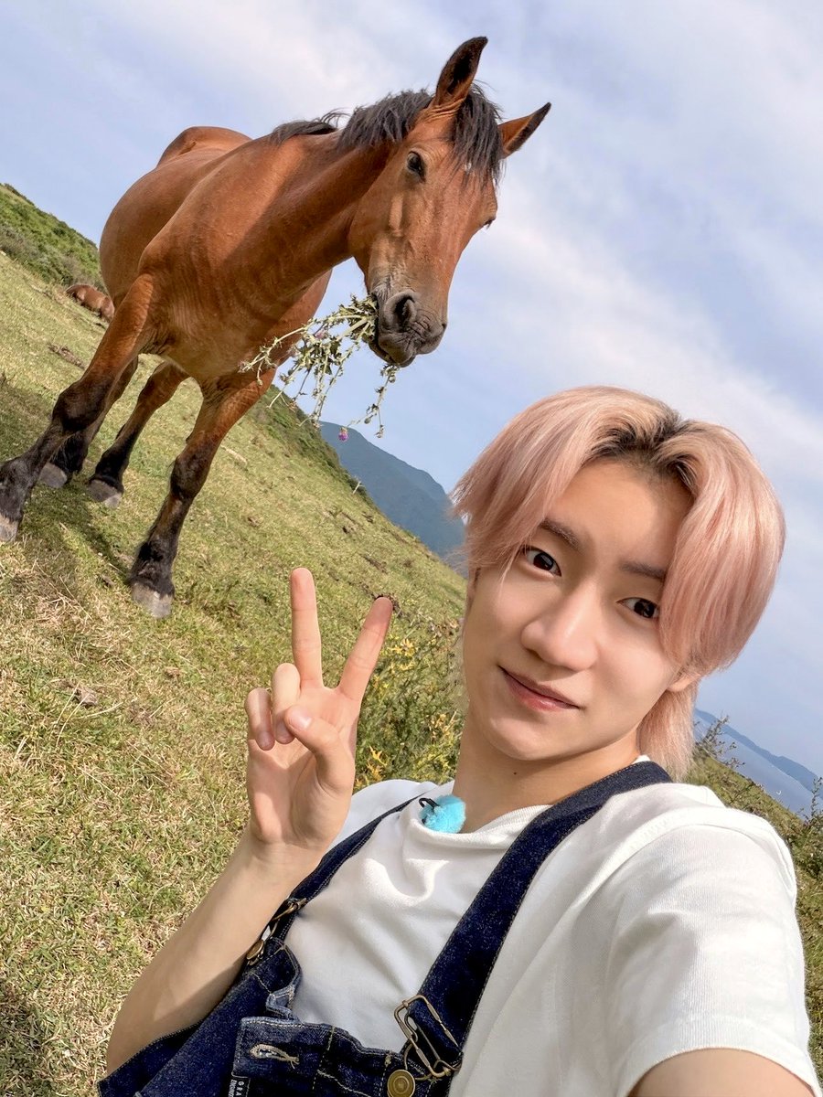 ジュニア公式 (@jr_official_X) / Posts / X