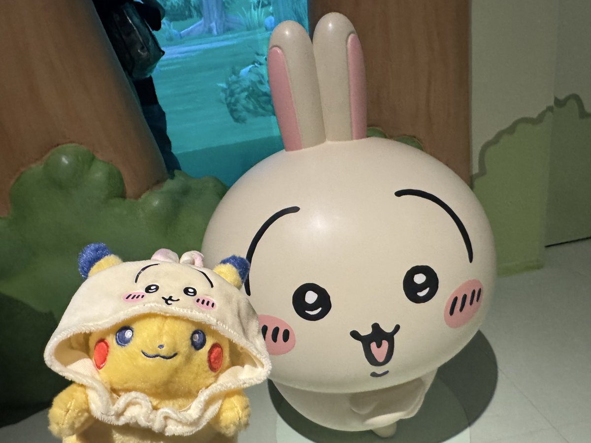 うさぎに会いに来たよ～🌟