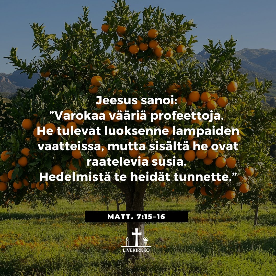 livekirkko's tweet photo. Hyvä puu tuottaa hyvää hedelmää. Välillä on hyvä pysähtyä pohtimaan, millaista hedelmää itse tuottaa. Siunattua pyhää!❤️ 🙏 https://t.co/NLSAsz3aUo