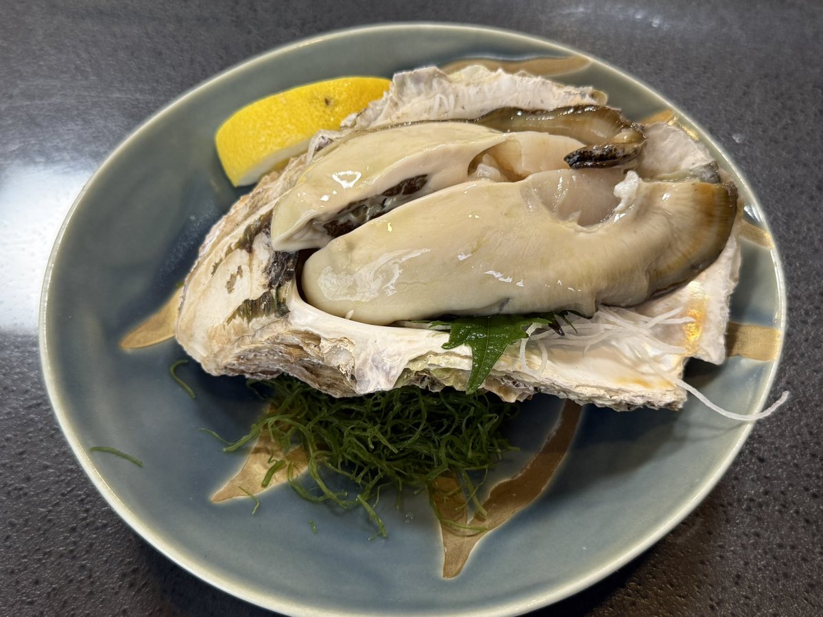 nagamon_sg's tweet photo. 最高ですわ https://t.co/jNOEQbtkFe