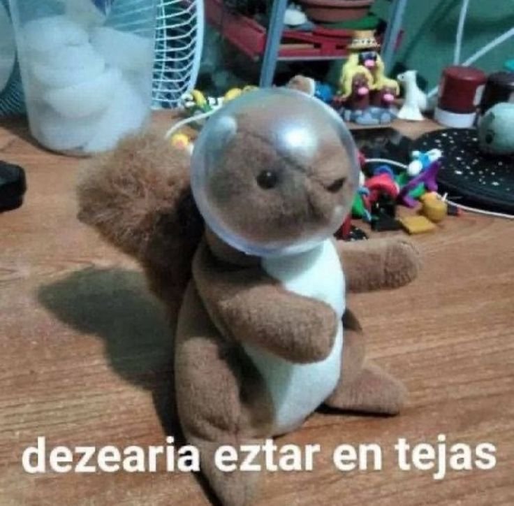 ᅠᅠᅠ𝐄𝐌𝐌𝐀 𝐅𝐑𝐎𝐒𝐓 .ᐟ tweet media