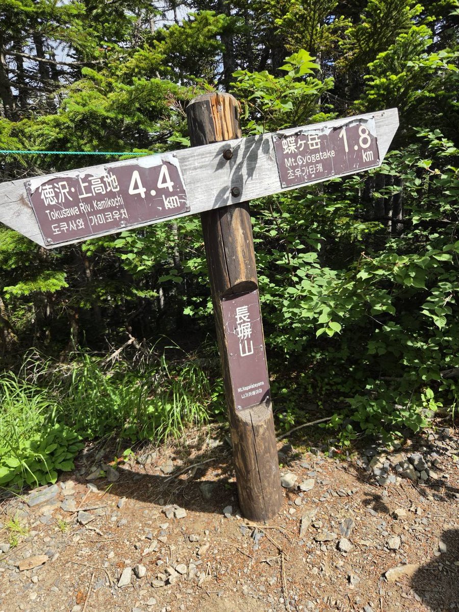 Moriyama_ac's tweet photo. 夏山合宿　2日目
徳沢から長塀山を通り蝶ヶ岳まで登りました。蝶ヶ岳から見える穂高連峰や槍ヶ岳の美しさに圧倒されました！ https://t.co/JjsyaHOkIM