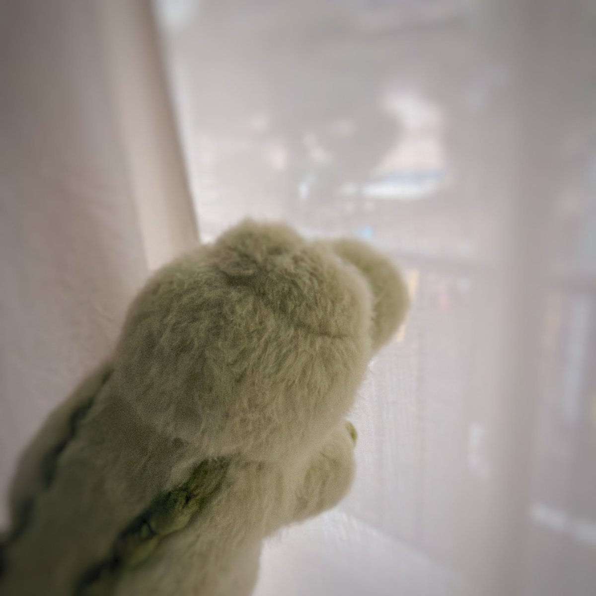 wanitoissho2's tweet photo. きょうもｺﾞﾛﾘｰﾇ ⛈️ https://t.co/kswnp2JPlt