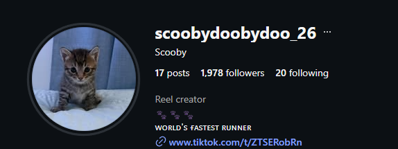 Deanapko's tweet photo. This is Scooby

And he's going super viral on IG

He's called - Worlds fastest runner

Scooby only started posting on Social media a week ago, and IT ALREADY HAS MILLIONS OF VIEWS

The trenches need a new cat runner

Scooby is the fastest

https://t.co/qKI5Hc0jQ6 https://t.co/mlw9PLSFGF