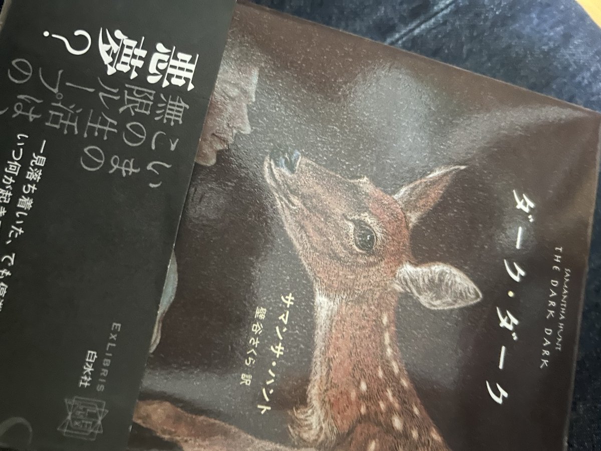 kitashintk's tweet photo. 新刊。サマンサ・バントの『ダーク・ダーク』。難解な物語も多いが、この作者でしか書けない世界観。#壁谷さくら さんの硬質な訳文が深い余韻を残す。#白水社 https://t.co/L5eqfd3G3g