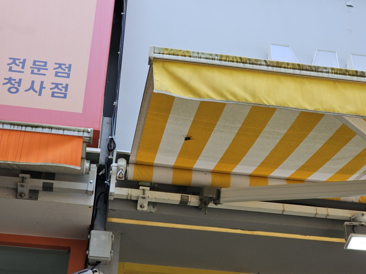 먀웅이 tweet media