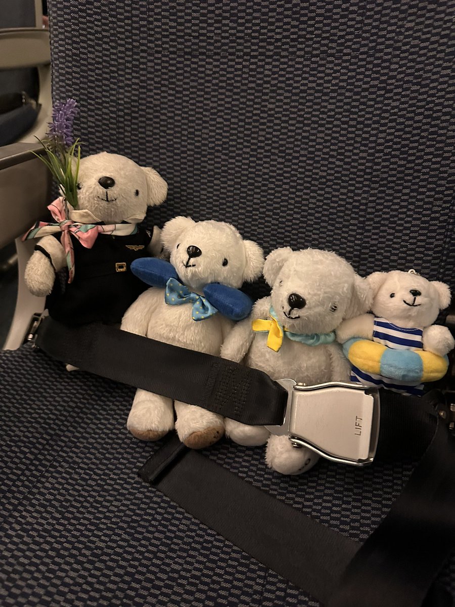 cjanmgujs's tweet photo. @airdo_hokkaido この前ドットリボンの子連れて飛行機乗ったら、CAさんが仲間たち連れてきてくれました• ᴥ •🩵ྀི https://t.co/S2eoydVJcj