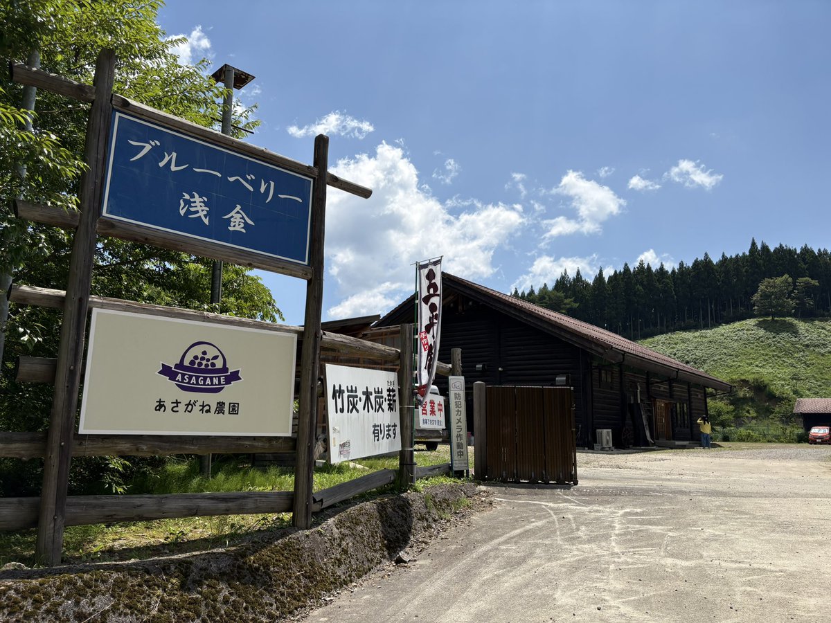 jade_omi's tweet photo. 愛知県の豊根村でブルーベリー🫐食べまくってきた。 https://t.co/y0EprS3rz1