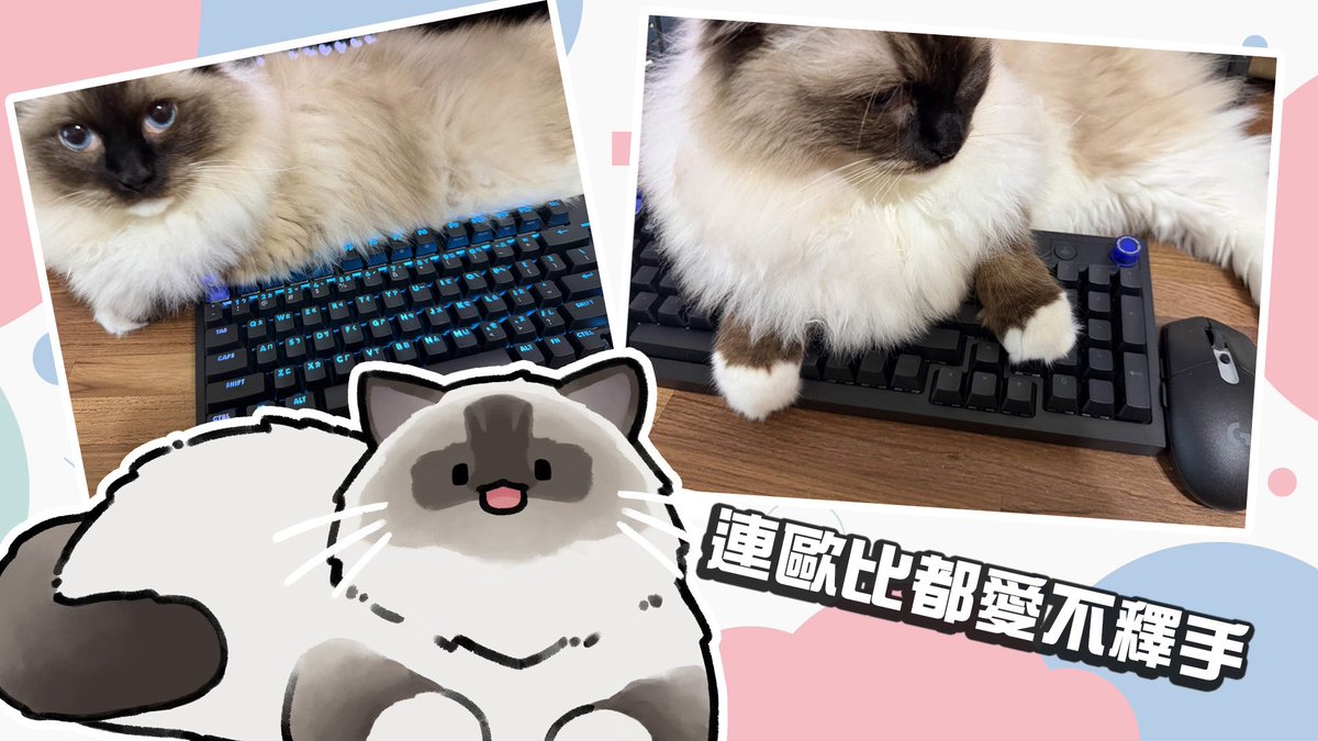 CygnusXDFP's tweet photo. ✨Logitech G G304 X SUPERLIGHT無線電競滑鼠、G316 X 98 8K 機械電競鍵盤全新上市啦！✨
有珍珠白和魅力黑兩種顏色可以選擇，不管你是GAMER還是一般文書處理
都可以享受這高質感的體驗啦(*´▽`*)

🖱️ Logitech G G304 X SUPERLIGHT無線電競滑鼠
－超輕量但性能不妥協，長時間使用依然舒適、穩定、不累手
－日常＋遊戲雙場景都方便使用
👉購買點我：https://t.co/BvaBx0Vpw2

⌨️ Logitech G G316 X 98 8K 機械電競鍵盤
－兼顧性能、外型與做工細節的客製化鍵盤
－8K、熱插拔、可換軸的鍵盤，還有實用的旋鈕和小螢幕
－玩FPS推薦線性軸絲滑靈敏 / MOBA推薦觸感軸，段落感明顯，操作手感明確
👉購買點我：https://t.co/HYVTUJjhxR

📣上市活動還送手托📣
1) 全通路消費：Logitech G 品項滿$5,000 含G3系列新品，贈玩色大鼠墊 (顏色隨機)
2) MOMO / PChome / 蝦皮 / 羅技官網 / Logi Store：買 G316 X 98 送訂製雲朵手托
*贈品數量有限，送完為止 (*‘ v`*)

#羅技 #G304XSUPERLIGHT #G316X #KeepPlaying #雲朵手拖