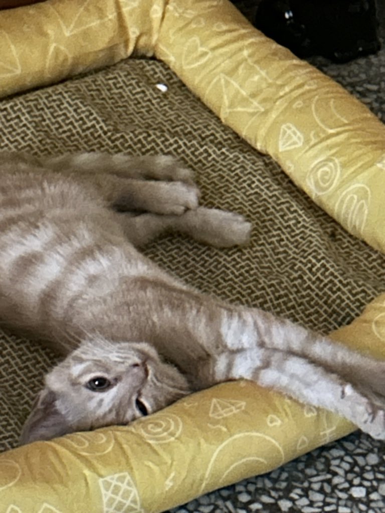 izumitokiya_'s tweet photo. 胶纸口袋 https://t.co/5RDTeJ5NK2