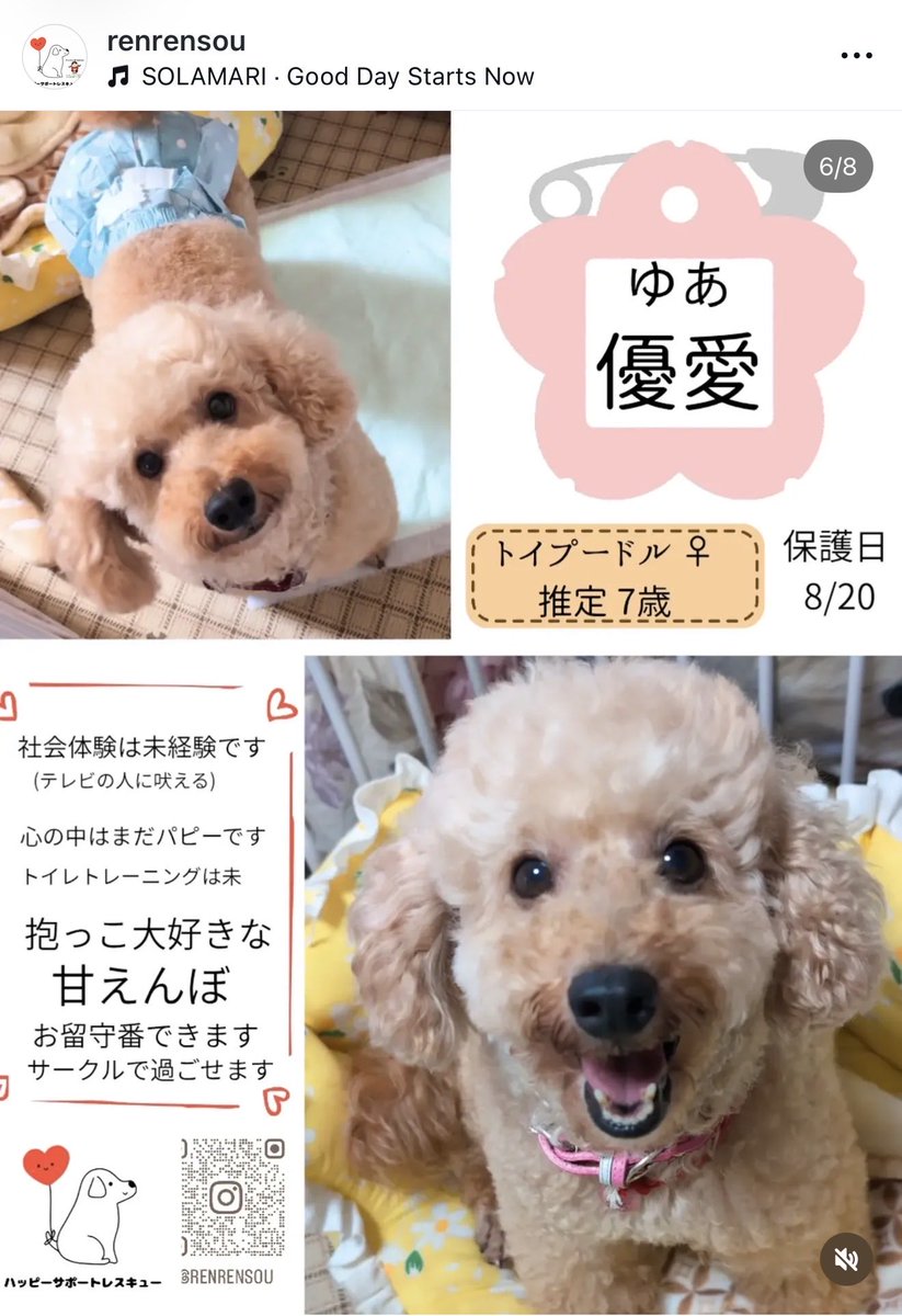 nao4361918327's tweet photo. #あいラジ
#ポポキイーリオ
保護犬猫主役番組🐶🐱
お聴きいただきありがとうございました‼️

🐱🐶画家🖌️
斉藤綾さん
https://t.co/KGZ2NK3lPZ

🐶🐱獣医師あさみ先生
https://t.co/YXg50bJrKd

🐶保護犬活動にっし〜里親募集🐶⬇️
https://t.co/Nj291fKdqU

🐱里親募集🐱⬇️
https://t.co/bxA22GJtik https://t.co/410f1tOg8Z