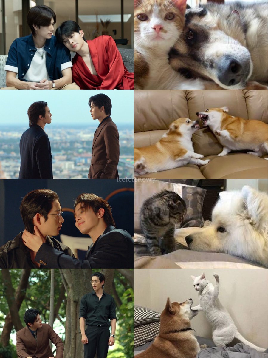 iceforsnowy's tweet photo. ขอโทษนะ แต่มันได้มากอะ 55555555555555555555555555555555555555555555555

#PeachAndMeSeriesEP3 https://t.co/TnHDrx4jHr