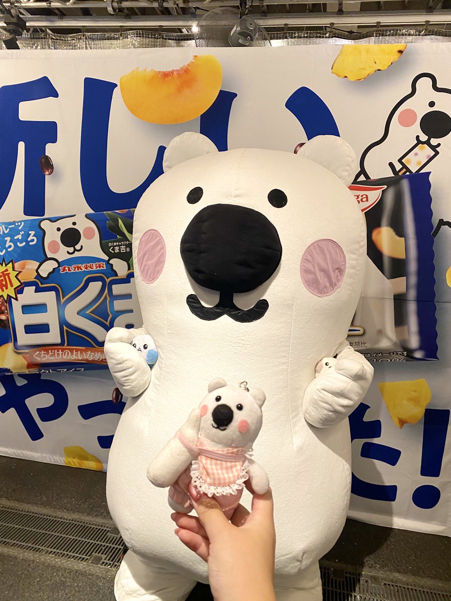 白くまさん専用 BIGくま吉くんに会えて大喜びのシェシー🐥 新しい白くま、美味しい