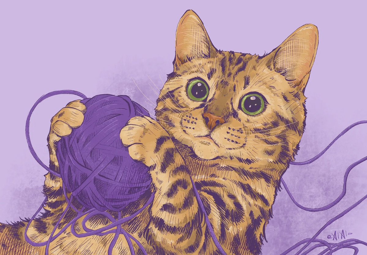 xixidreams's tweet photo. 🐈🧶 https://t.co/KBsQlMlxA9