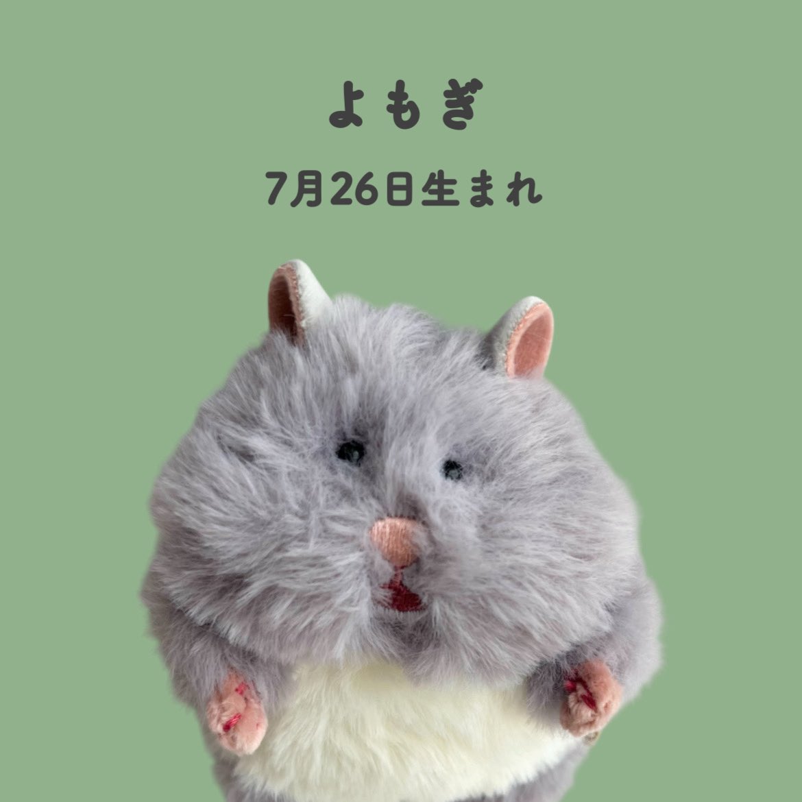 Te1_ll's tweet photo. よもぎと名付けました。
先輩のわらびとも仲良くしてね♡ https://t.co/XKpZgA0jEA