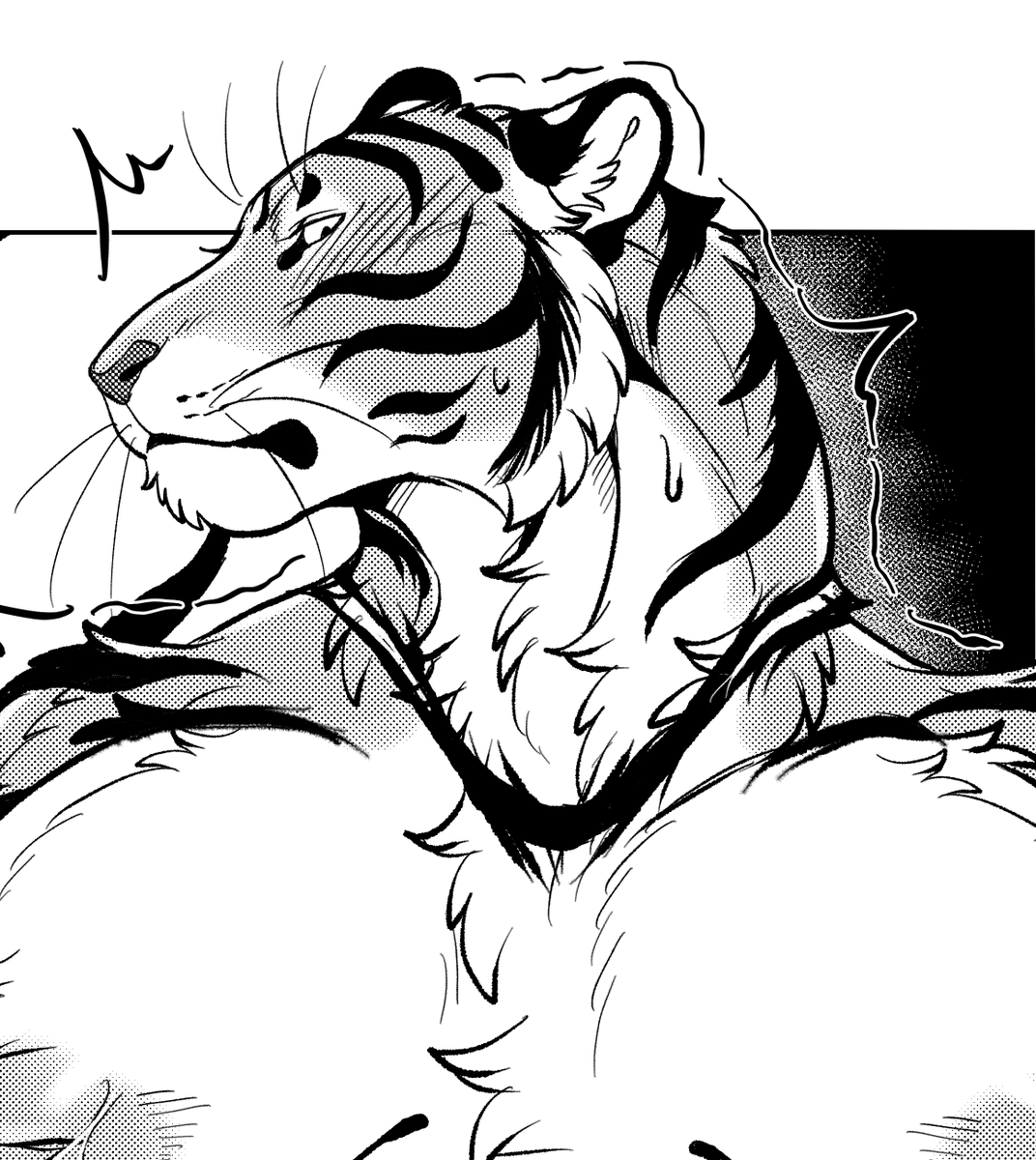 nekomata_ftnr's tweet photo. https://t.co/0bbuRKGHOr