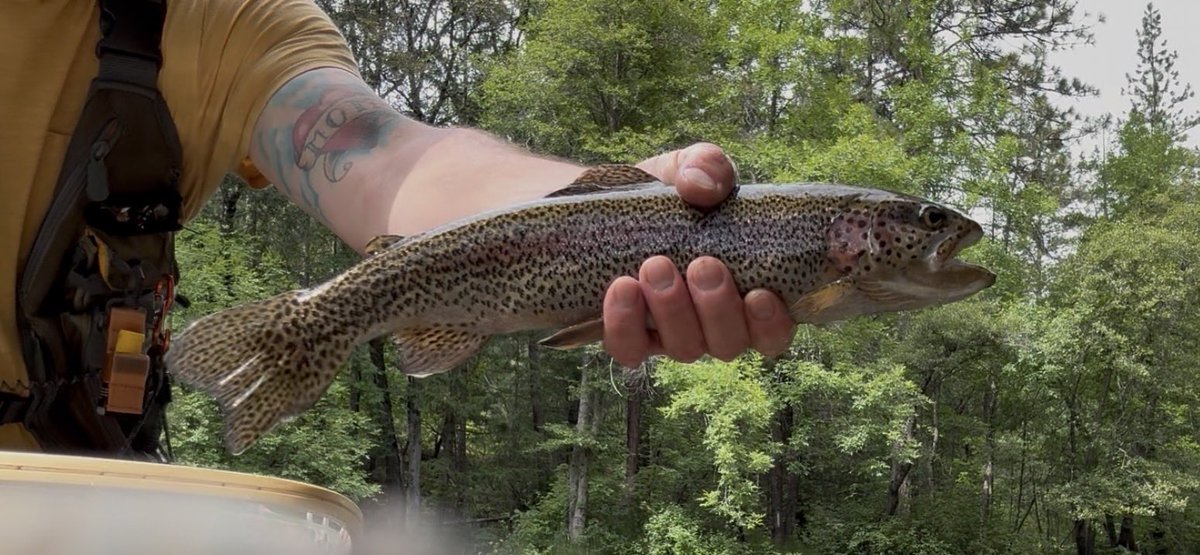 TheRevNickWelch's tweet photo. Don’t blackpill. 
There are still fish in the rivers. https://t.co/05S2Hw9vhP