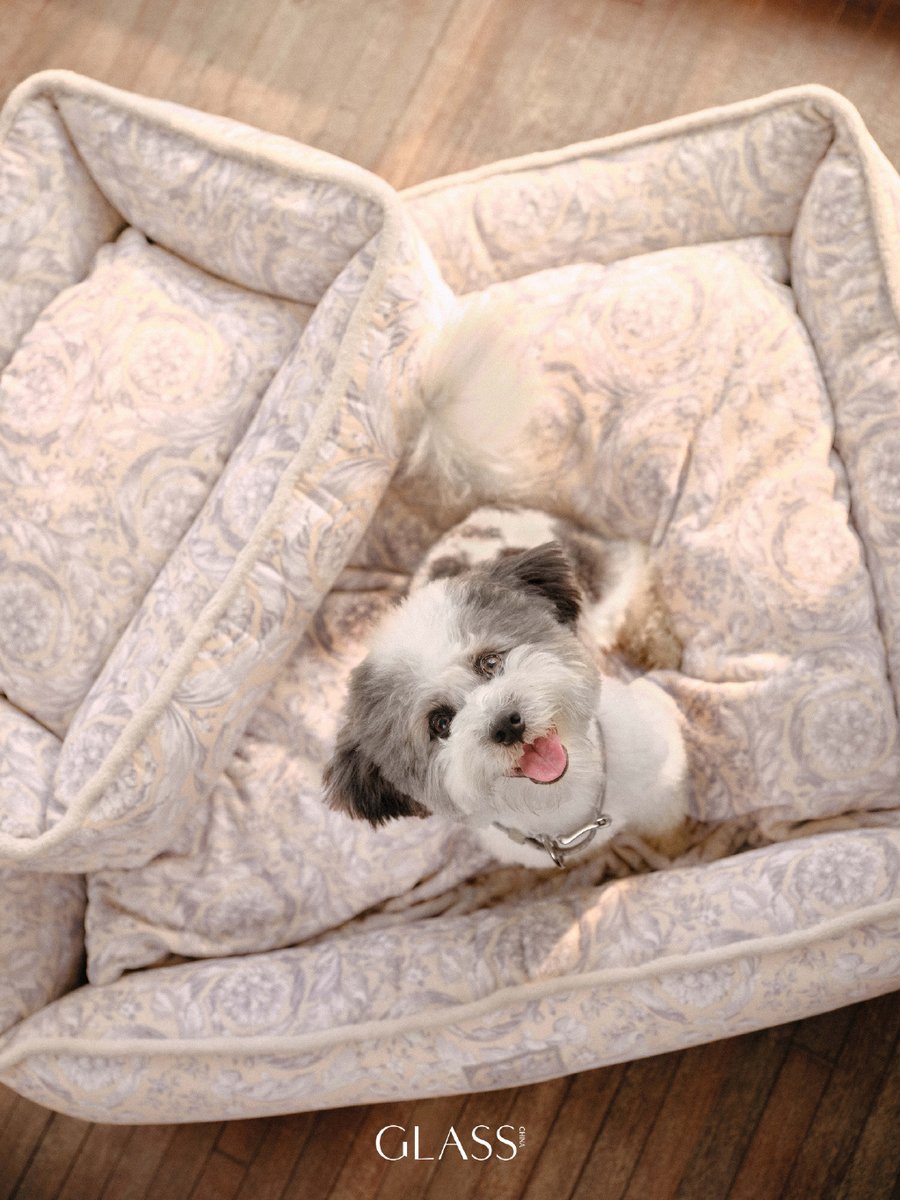 ninali_lee's tweet photo. My little fur baby just hit 6 months old  First wobbly steps to zoomies around the house in half a year—can’t believe how fast they grow! https://t.co/EahHx9DWL5