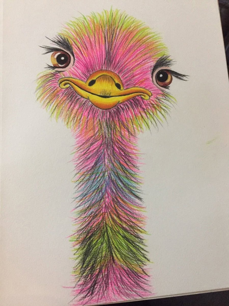 anfal00_5's tweet photo. My 12-year-old son drew this colorful ostrich today. 🦩🎨 He spent hours bringing every feather to life with vibrant colors, and I honestly can't stop smiling every time I look at it. I'm so proud of his creativity. What do you think? 🥹❤️!! https://t.co/0aBuSbhwV9