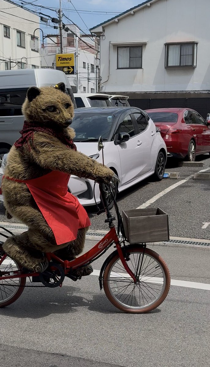 8summersnow8's tweet photo. 開店時間に行ったら、🐻ご出勤は自転車でしたwチャリに乗って普通にこいで来たから笑っちゃったw https://t.co/GFKKRFeja0